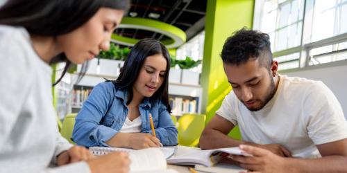 Group of students studying